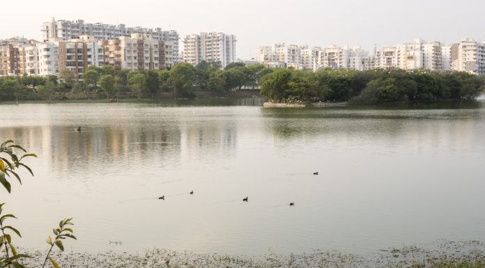 ಬೆಂಗಳೂರಿನ ಕೆರೆಗಳ ಕರೆಗೆ ಮಿಡಿದ ಸ್ಥಾಯಿ ಸಮಿತಿ