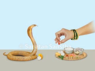 ಜುಲೈ 29ರಂದು ನಾಗರಪಂಚಮಿ ನಿಮಿತ್ತ ವಿಶೇಷ ಲೇಖನ !