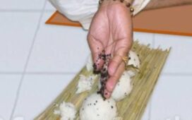 Pithru Paksha