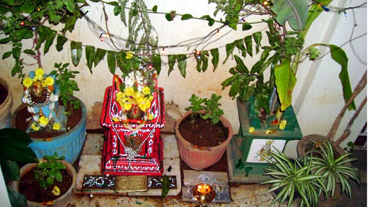 ತುಳಸಿ ವಿವಾಹ ನಿಮಿತ್ತ ಸನಾತನ ಸಂಸ್ಥೆ ವತಿಯಿಂದ ವಿಶೇಷ ಲೇಖನ  